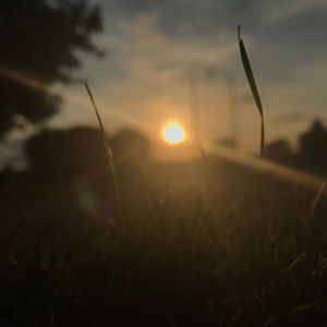 Meet your Posher, Avery